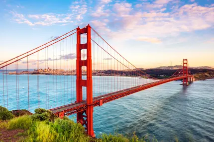 American Psychiatric Association (APA) Annual Meeting