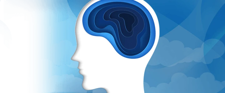 Fundamentals of Major Depressive Disorder