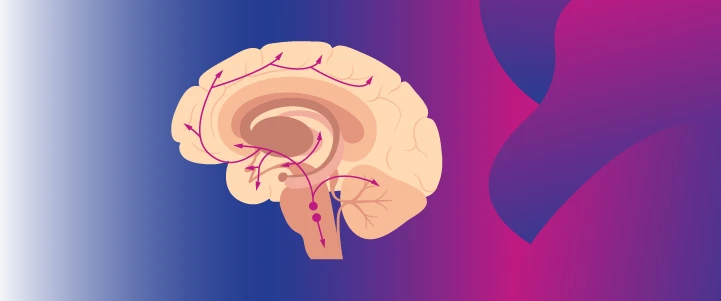 Fundamentals of Psychopharmacology